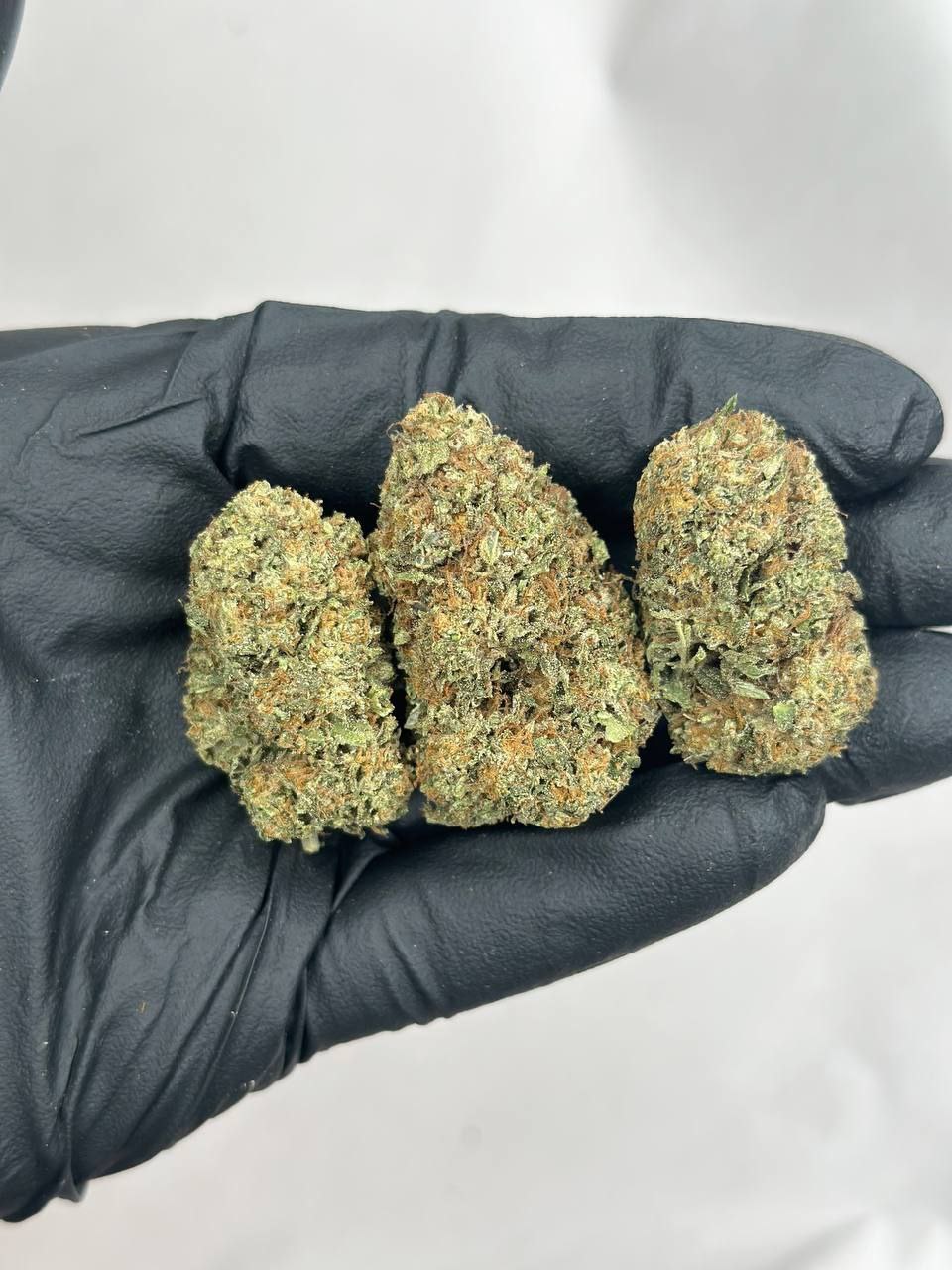 Do-Si-Dos - Main Image